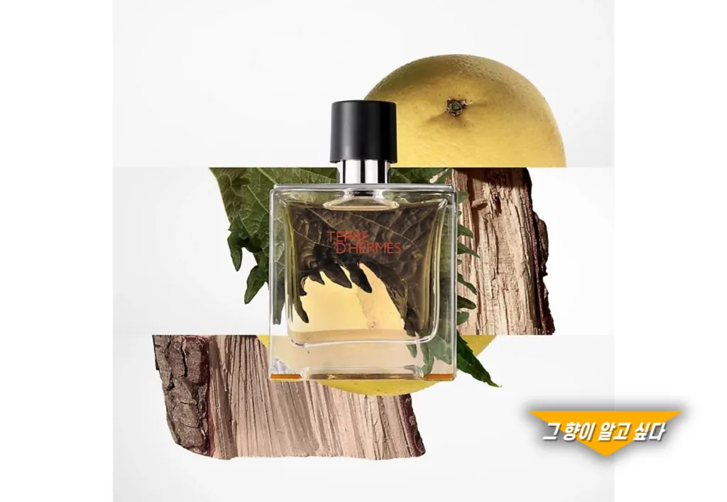 Terre d'Hermes by Hermes