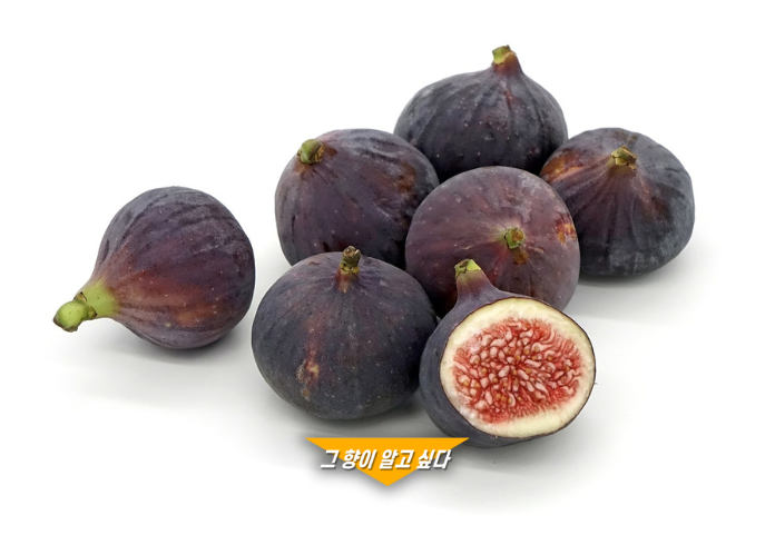 Fig