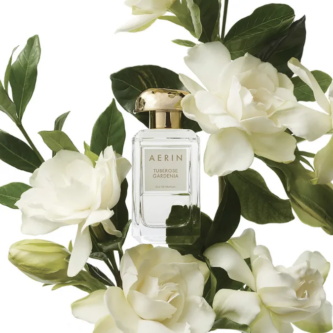 Aerin Tuberose Gardenia